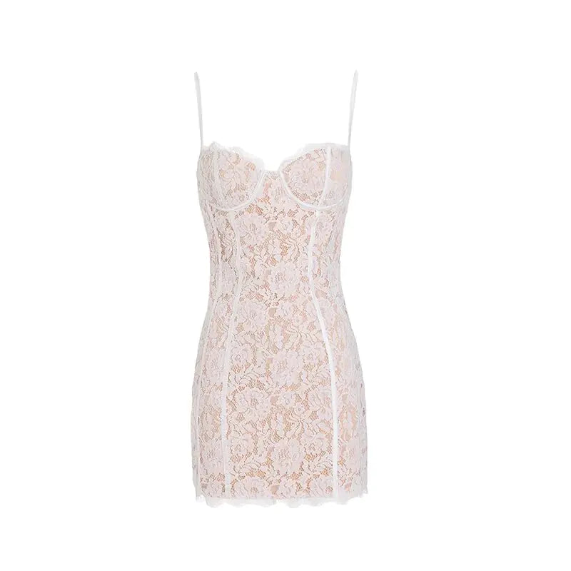 Purple Lace Vintage Dress