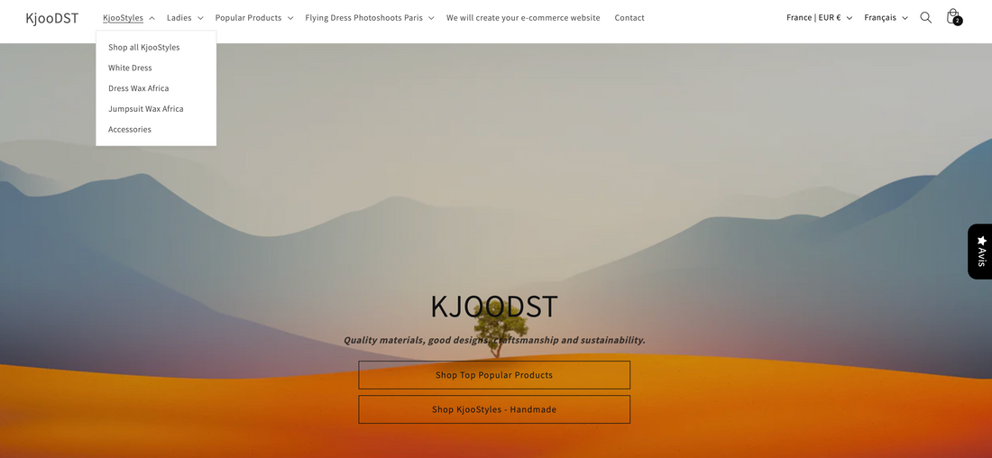 We will create your e-commerce website